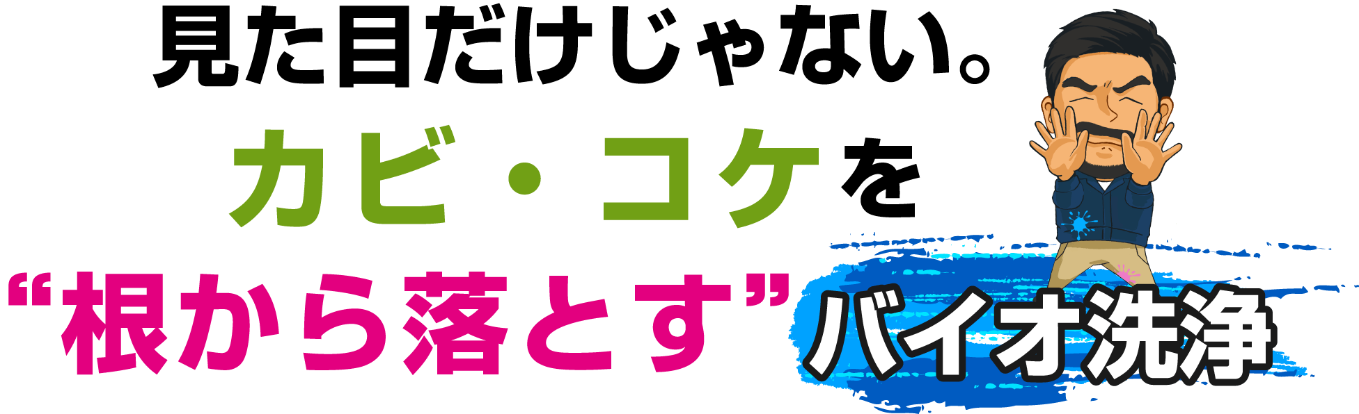 見た目だけじゃない。カビ・コケを“根から落とす”バイオ洗浄